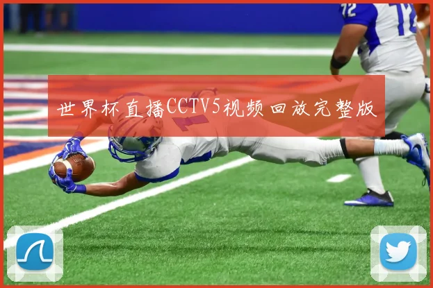 世界杯直播CCTV5视频回放完整版