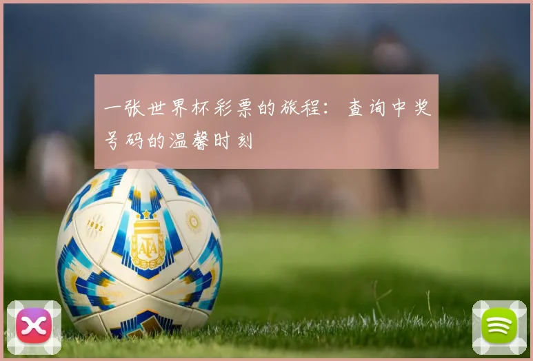 一张世界杯彩票的旅程：查询中奖号码的温馨时刻
