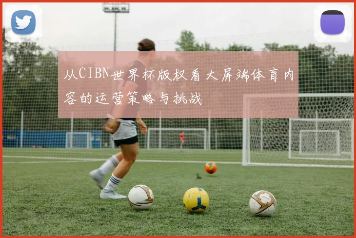 从CIBN世界杯版权看大屏端体育内容的运营策略与挑战
