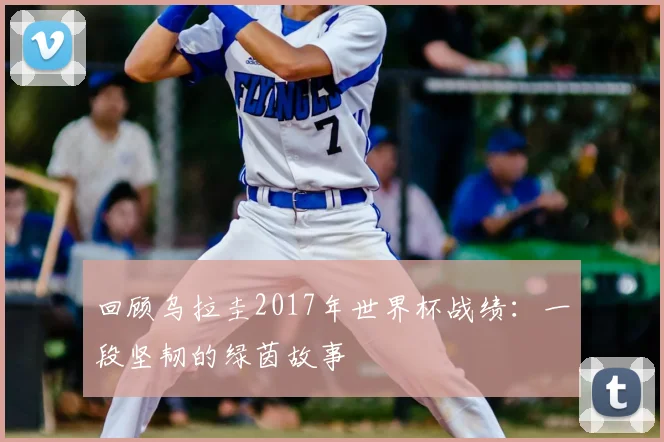 回顾乌拉圭2017年世界杯战绩:一段坚韧的绿茵故事