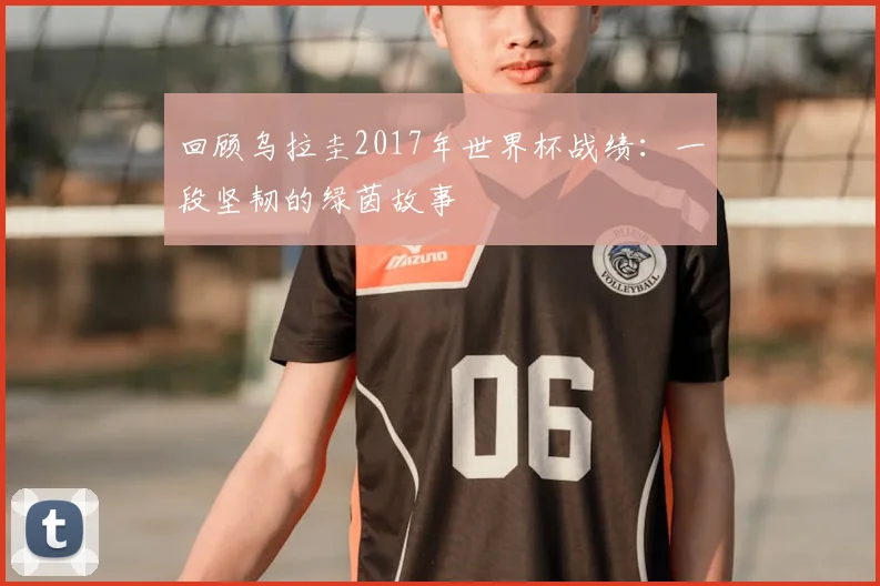 回顾乌拉圭2017年世界杯战绩:一段坚韧的绿茵故事
