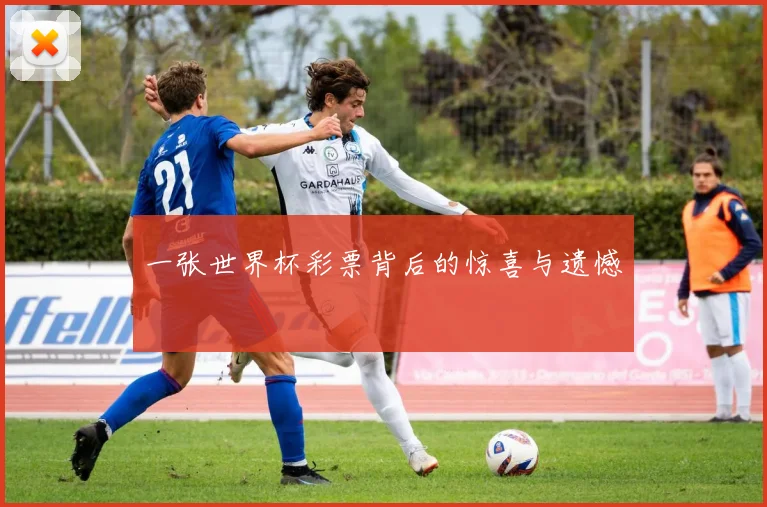 一张世界杯彩票背后的惊喜与遗憾