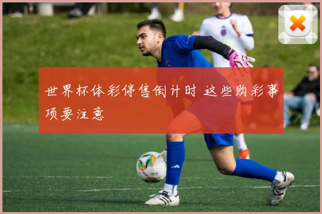 世界杯体彩停售倒计时 这些购彩事项要注意