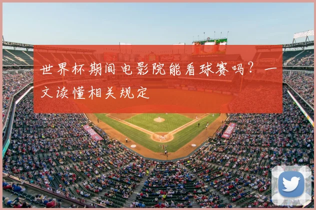 世界杯期间电影院能看球赛吗?一文读懂相关规定