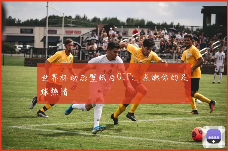 世界杯动态壁纸与GIF:点燃你的足球热情