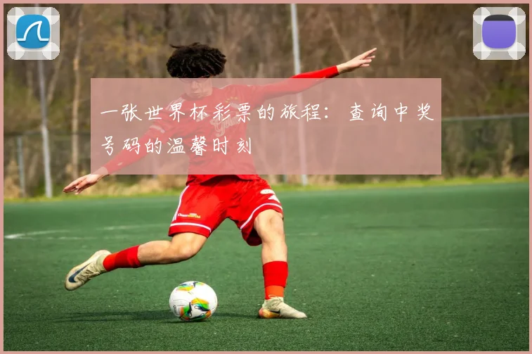 一张世界杯彩票的旅程：查询中奖号码的温馨时刻