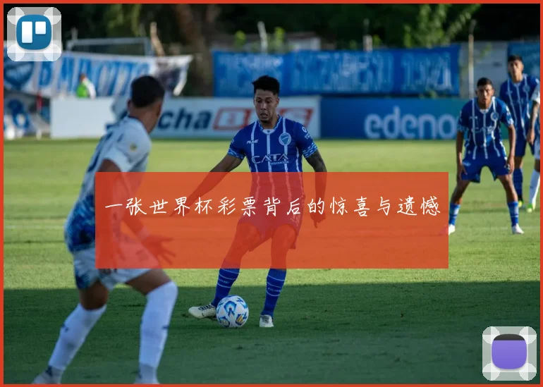 一张世界杯彩票背后的惊喜与遗憾