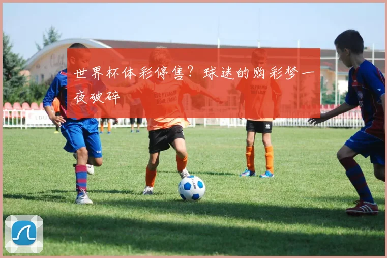 世界杯体彩停售?球迷的购彩梦一夜破碎