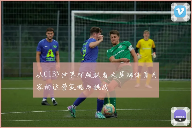 从CIBN世界杯版权看大屏端体育内容的运营策略与挑战